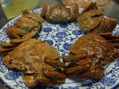 -呼吸森林·生态农庄农家乐私房菜