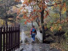 -阳台山自然风景区