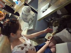 -小时光咖啡馆(开森度假森林店)