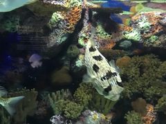 -热带风暴水上乐园(新镇路)