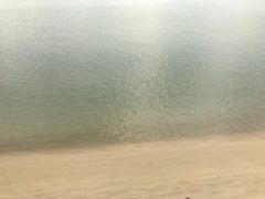 -北海金海湾红树林生态旅游区