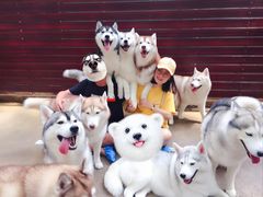 -TrueLove @ Neverland (Husky Cafe)