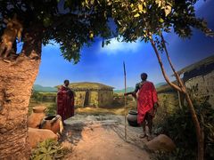 -国家自然博物馆