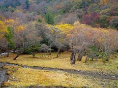 -叠溪松坪沟景区