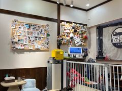 -逗柴咖啡屋·狗咖猫咖宠物桌游