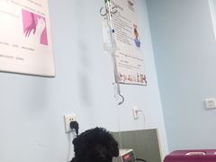 -瑞派宠物医院·24h·骨外科·皮肤科·全科宠物医疗转诊中心(沈阳浑南院)