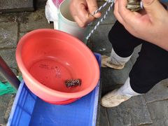 -青石桥市场北1-27号