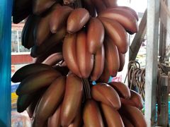 -南沙十九涌渔人码头-南门