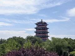 -滨河世纪广场公园
