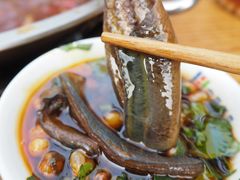 -储奇门鳝鱼火锅(总店)