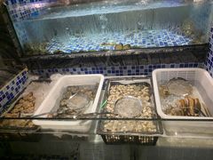 -喜庭海鲜自助(北辰三角洲北辰荟店)