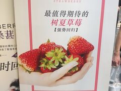 -树夏(建设路店)