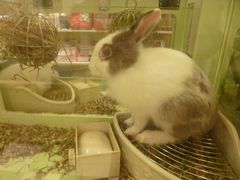 -龙猫仔乐园(惠福东路店)