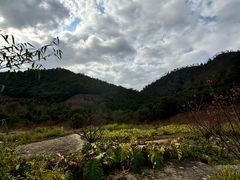 -广州市石门国家森林公园