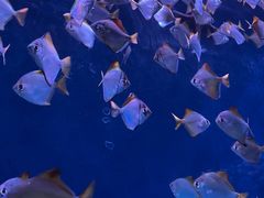 -沈阳海洋探索中心