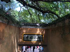 -普陀山慧济禅寺