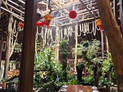 -绿光森林餐厅
