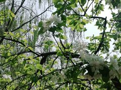 -元大都城垣遗址公园