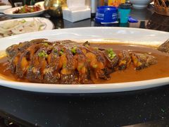 红烧大鳊鱼-华庭苑农家乐(旺山店)