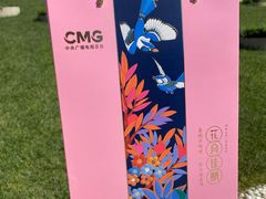 -中央广播电视总台(光华路办公区)