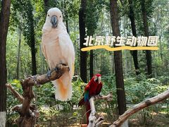 -北京野生动物园