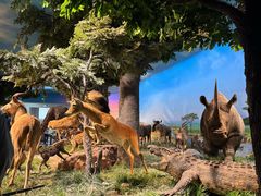 -国家自然博物馆