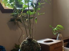 -沐春秋茶书院·茶室.茶馆.商务包房(知春路店)
