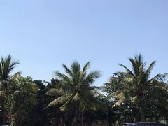 -万绿园