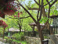-北京水岸山吧度假村(雁栖镇店)