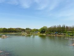 -贡湖湾湿地公园