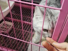 -参差咖啡(水果湖公园店)
