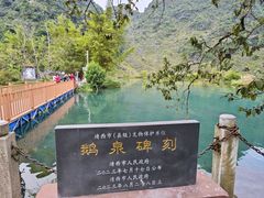 -靖西鹅泉风景区