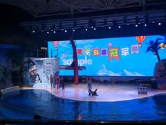 -三亚海昌梦幻海洋不夜城