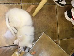-芭夯兔·兔肉汤锅(新都店)