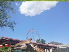 -石家庄市动物园