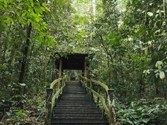 -乌鲁淡布隆国家公园