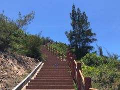 -广东惠东海龟国家级自然保护区