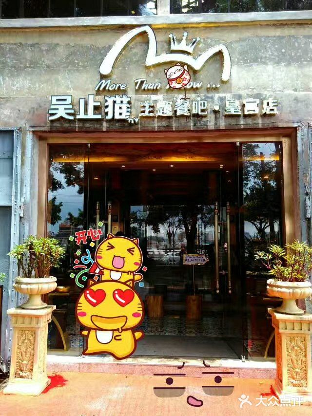 more than meow吴止猫主题餐厅(承德 中船汇店)门面图片