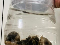 -长江澳风力发电景观区
