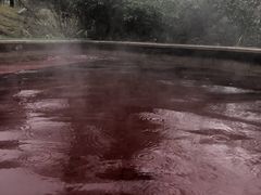 -咸宁万豪温泉谷度假区