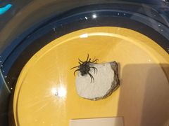 -湖南省地质博物馆