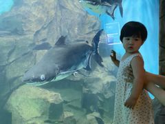 -石家庄海洋公园