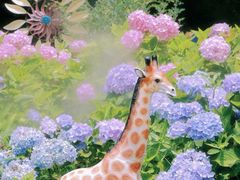 -共青国家森林公园-售票处