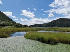 -腾冲北海湿地