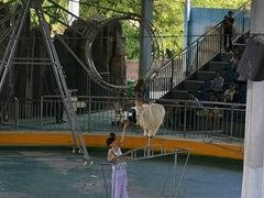 -泉州海丝野生动物世界