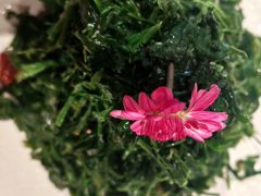 -聚宾楼·烤鸭·家宴(科技三路店)