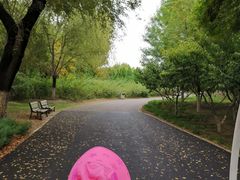 -永定河休闲森林公园