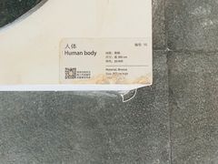 -凤凰中心