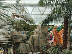 -南宫五洲植物乐园