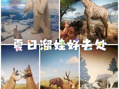 -陕西自然博物馆